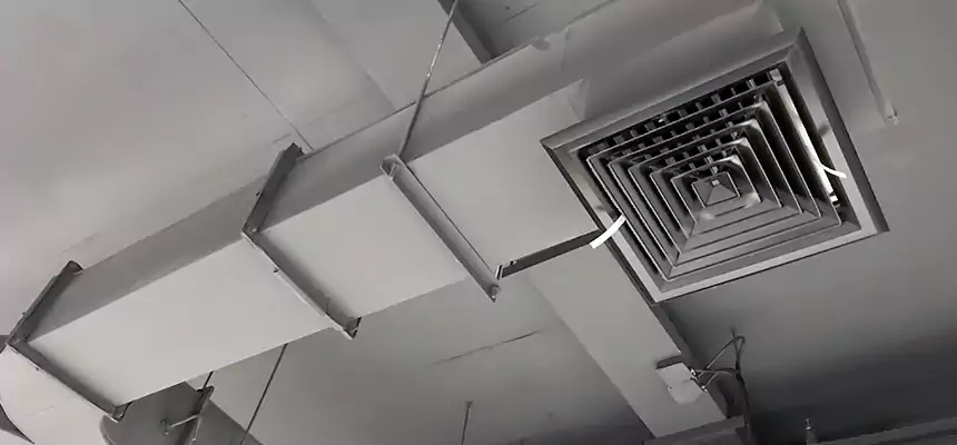 Restorative Allergy Relief Vent Cleaning – Coil, Blower & Housing Detail in Glen Cove