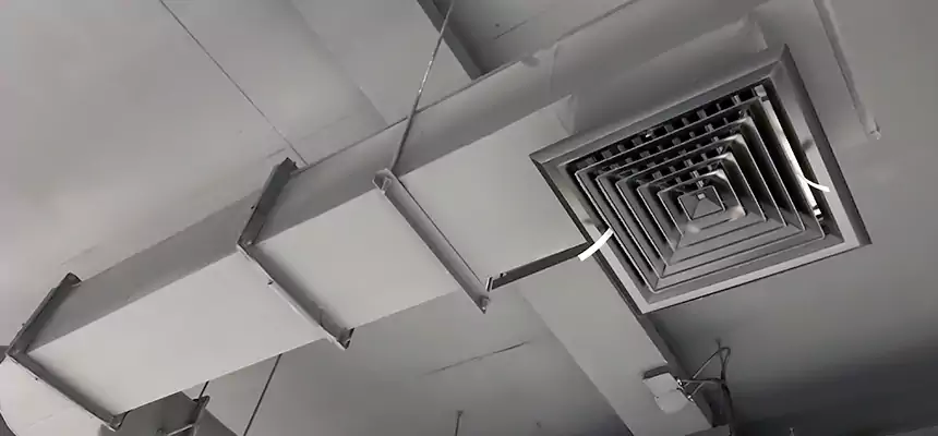 Our Pest Removal From Ducts Services in Glen Cove, NY