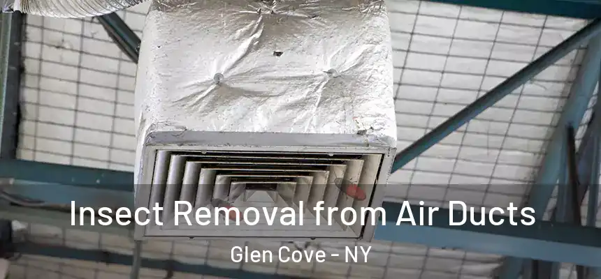  Insect Removal from Air Ducts Glen Cove - NY