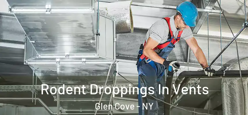 Rodent Droppings In Vents Glen Cove - NY