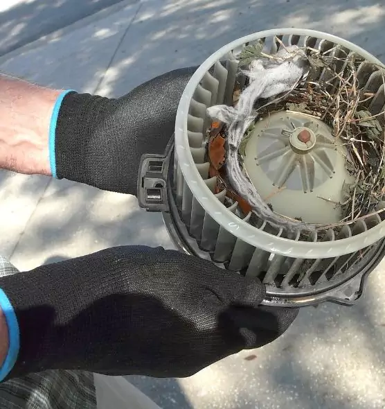 About Air Duct Mice Removal in Glen Cove, NY