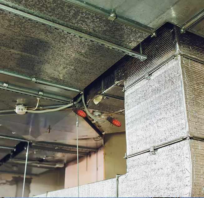 Why Homeowners & Businesses Trust Us in Glen Cove, NY?