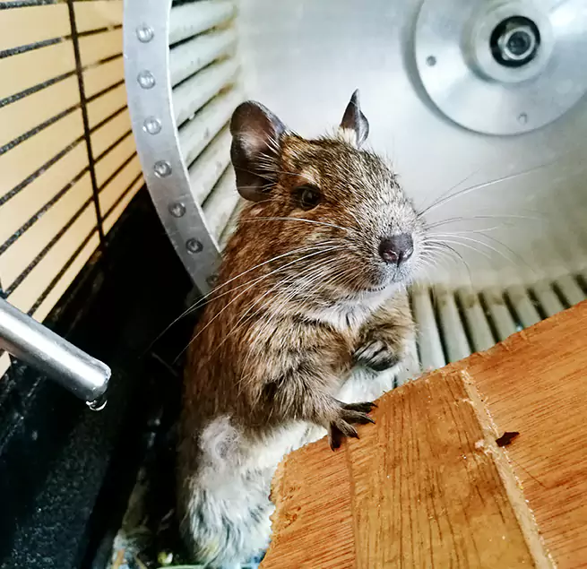 Why Homeowners & Businesses Trust Us Glen Cove, NY